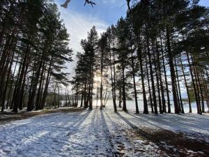 cairngorm guest house