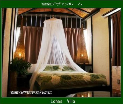 lohas villa hostel