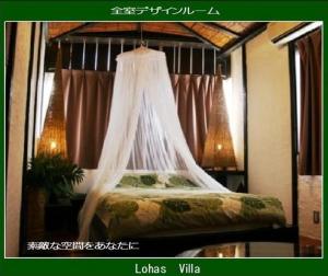 lohas villa hostel