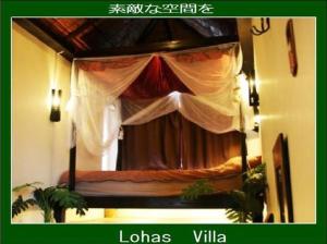 lohas villa hostel