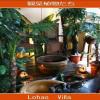 lohas villa hostel