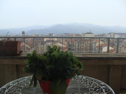 turin