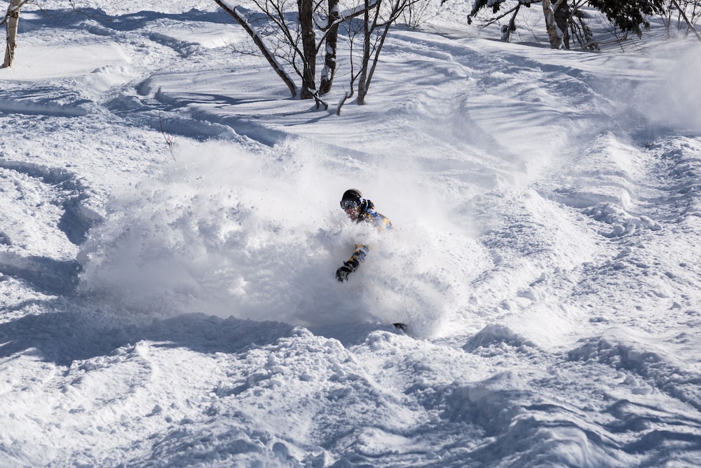 country resort niseko