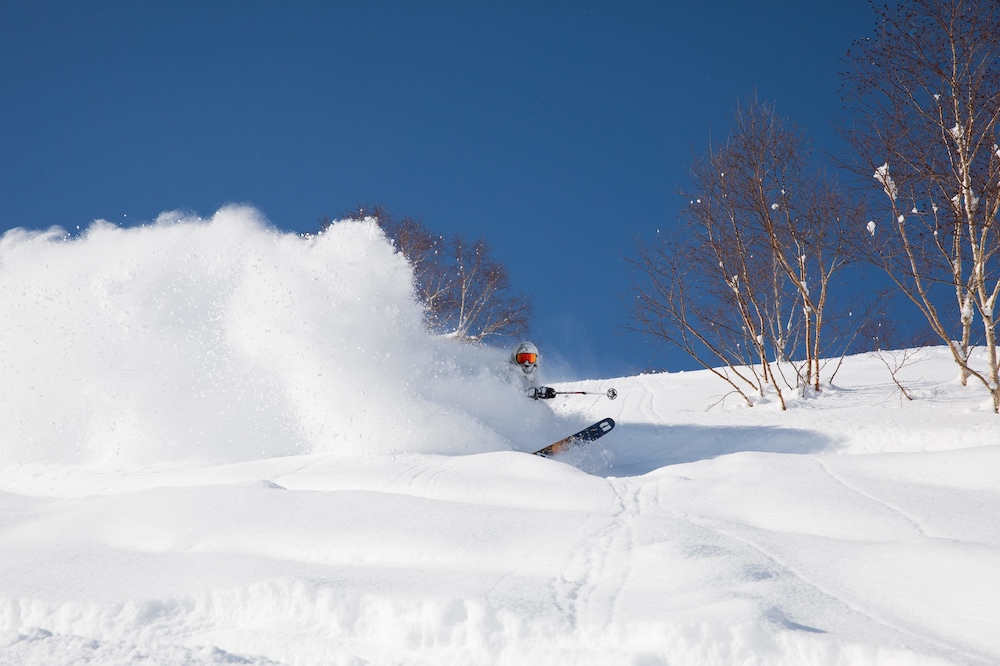 furano fresh powder apartments and chalet