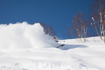 furano fresh powder apartments and chalet