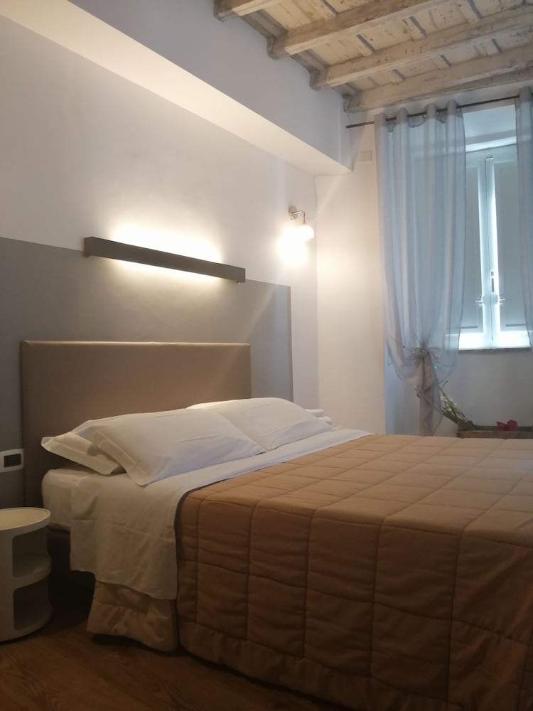 nerva accommodation