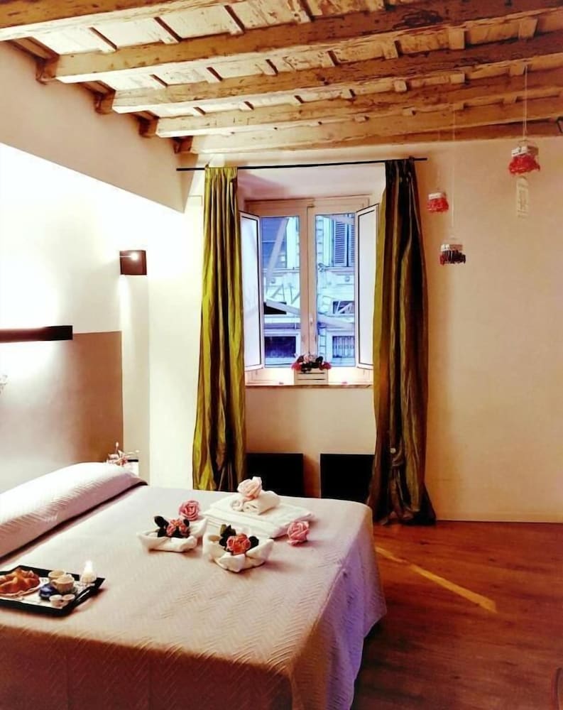 nerva accommodation