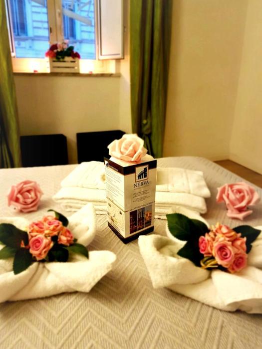 nerva accommodation
