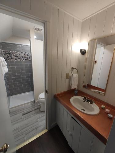 doveberry inn