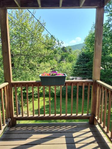 doveberry inn