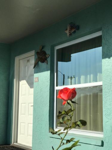 immokalee