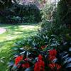 rosebank lodge guest house by claires