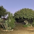 kudu ridge game lodge