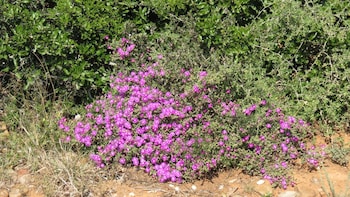 kudu ridge game lodge