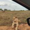 kudu ridge game lodge