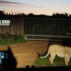 kudu ridge game lodge