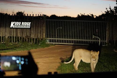 kudu ridge game lodge