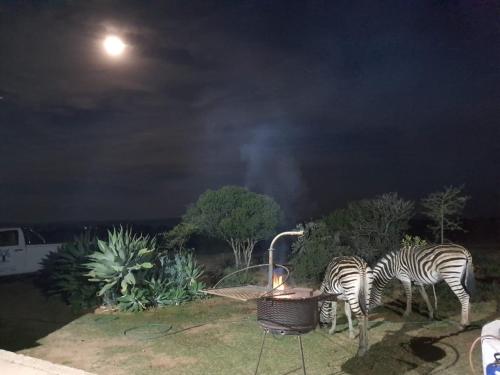 kudu ridge game lodge