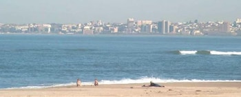 bluewater guesthouse