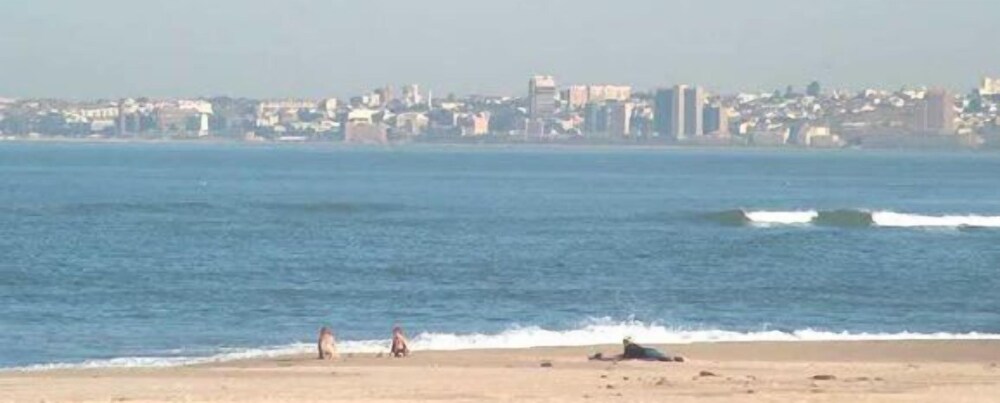 bluewater guesthouse