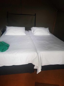 mulberry lane suites