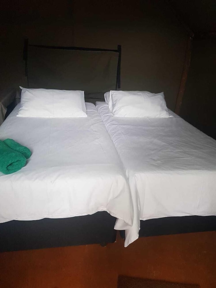 mulberry lane suites