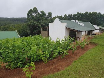 Mulberry Lane Suites,Ehlanzeni>>Bushbuckridge,3 star