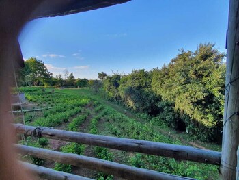 mulberry lane suites