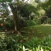 mulberry lane suites