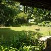 mulberry lane suites