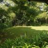 mulberry lane suites
