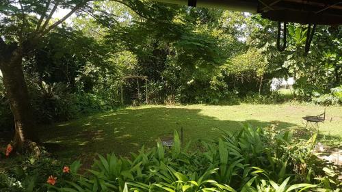 mulberry lane suites