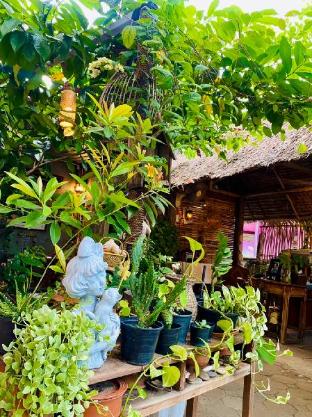 thai guesthouse