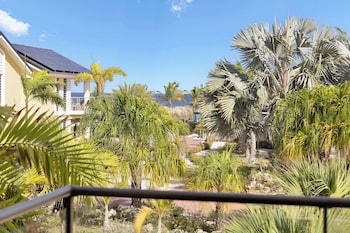 delfins beach resort bonaire tapestry collection by hilton