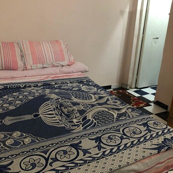 venus hostel