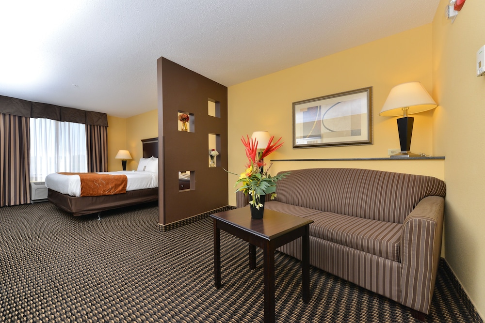 holiday inn express rochester south mayo area by ihg