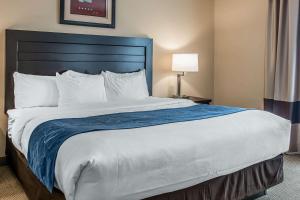 comfort suites south bend near casino