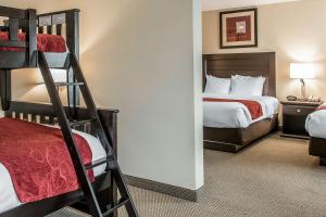 comfort suites south bend near casino