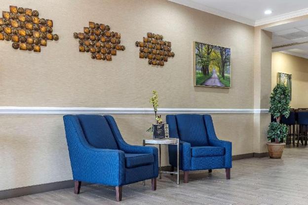 comfort inn and suites
