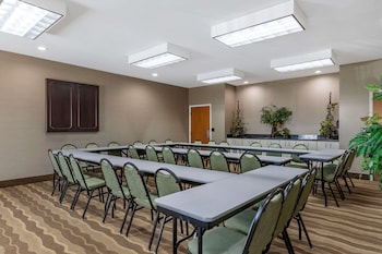 comfort inn and suites