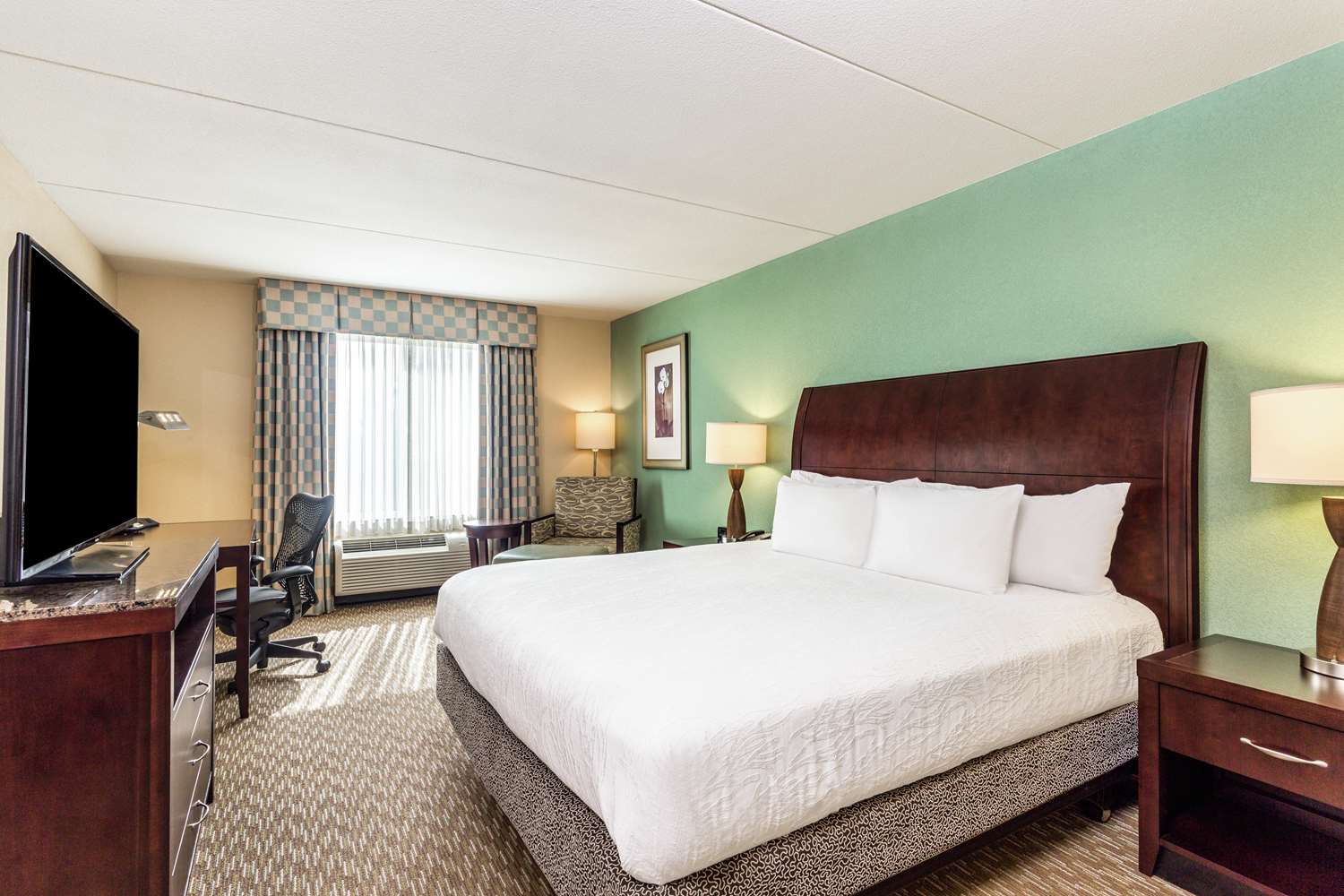 hilton garden inn gainesville