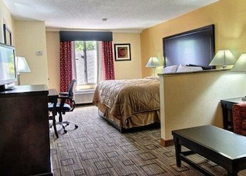 quality inn and suites greenville near downtown
