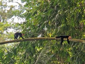 hostel cascada verde