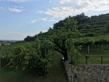 la bella vigna