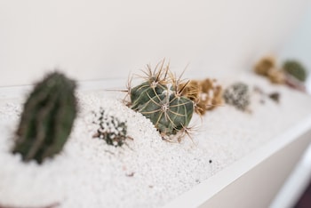 affittacamere myhome