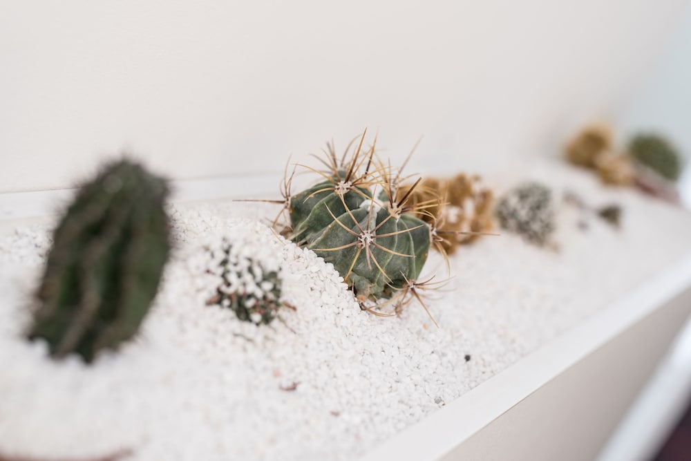 affittacamere myhome