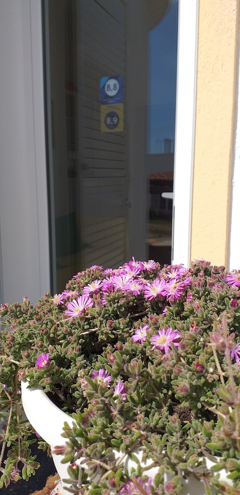 castrignano del capo