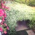 le pinette bed and breakfast