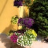 le pinette bed and breakfast