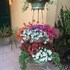 le pinette bed and breakfast